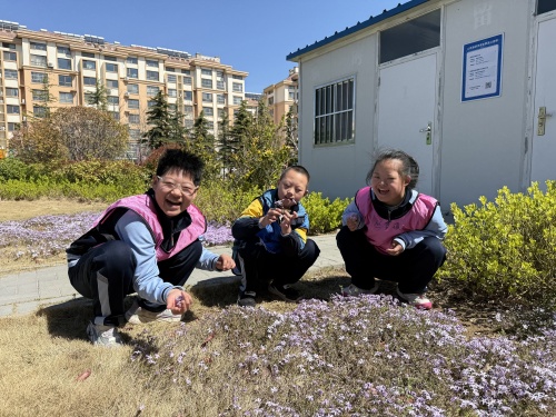 摘花1.jpg